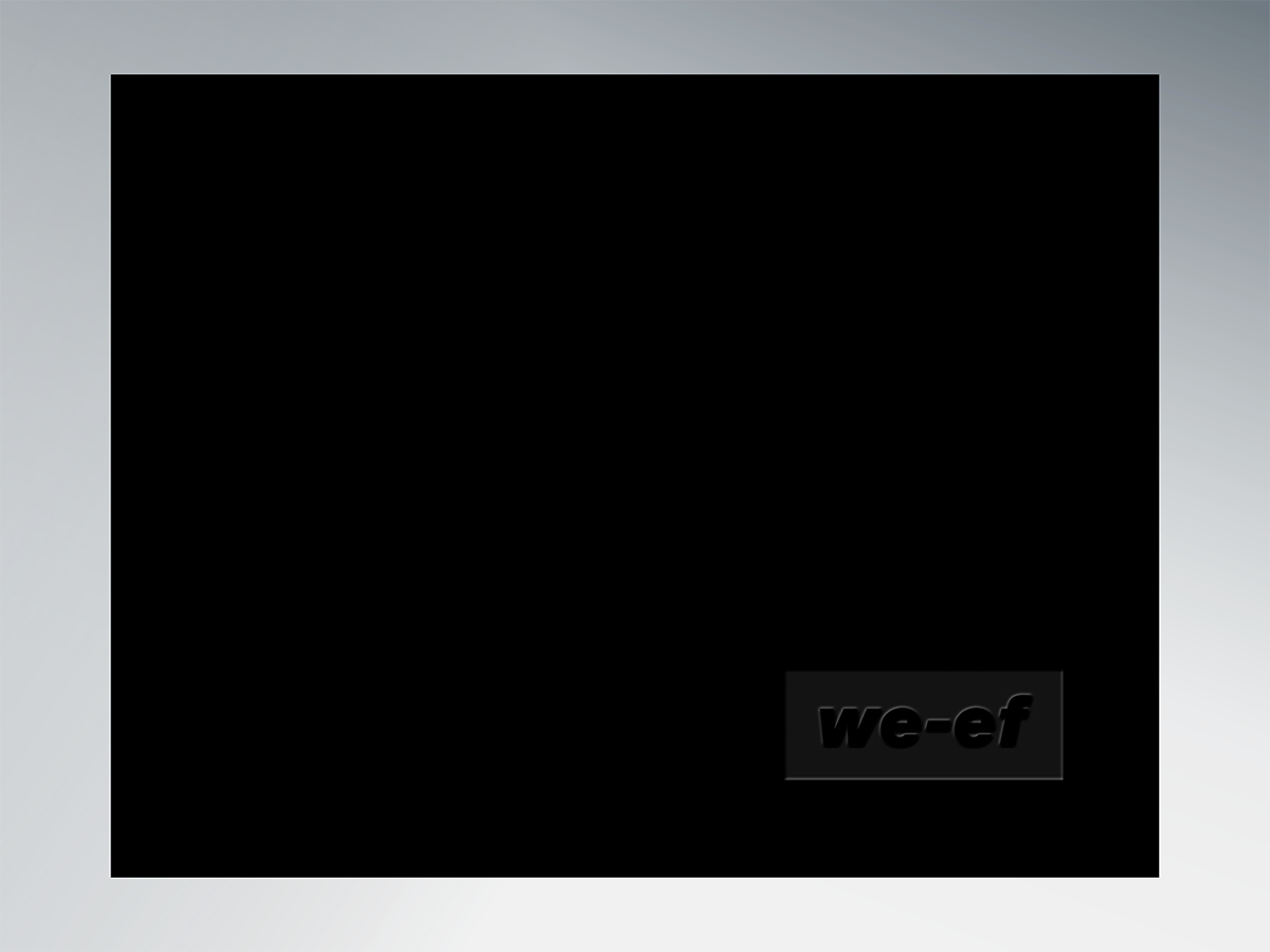 Preview of Cover WE-EF Book
