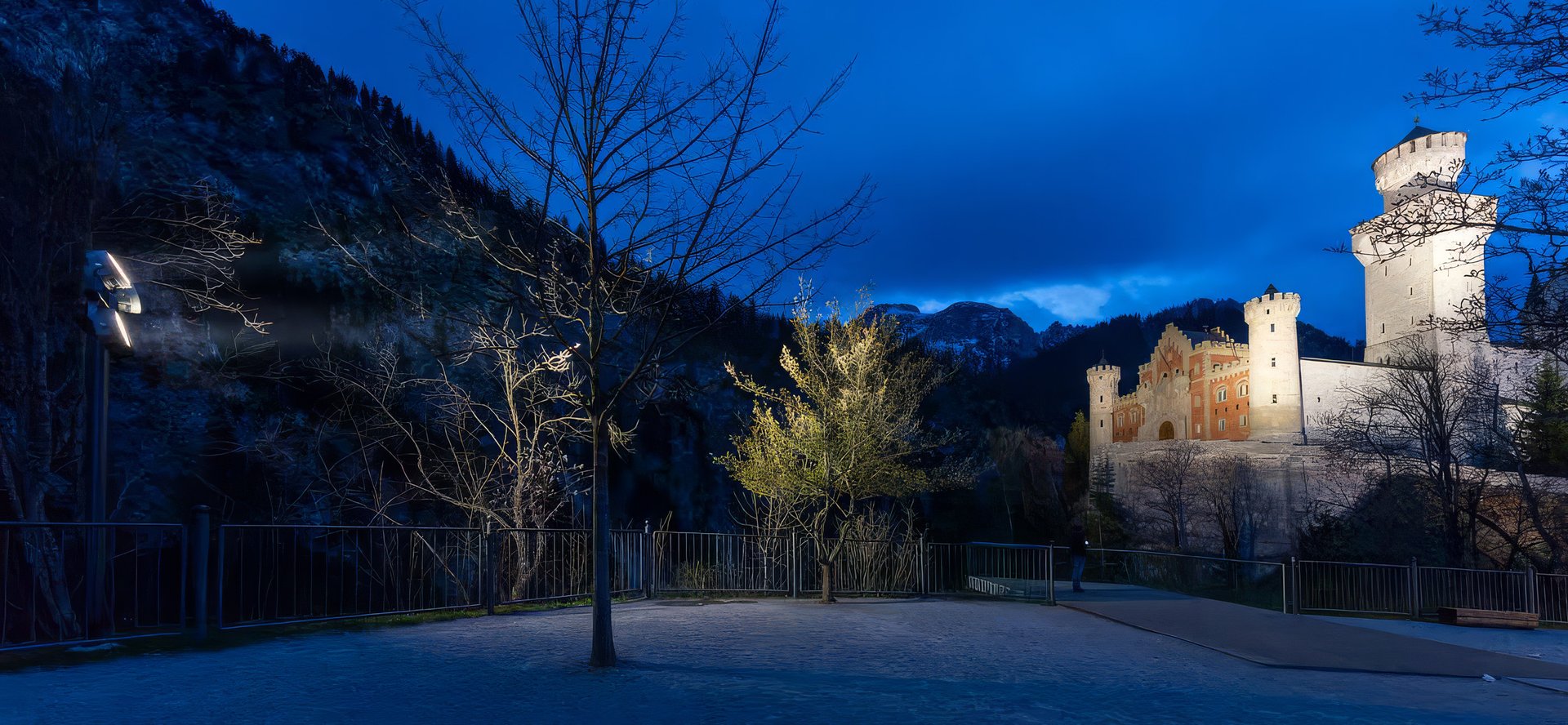 Visitor plaza at Neuschwanstein Castle at night, with trees lit by WE-EF floodlights and the illuminated castle behind