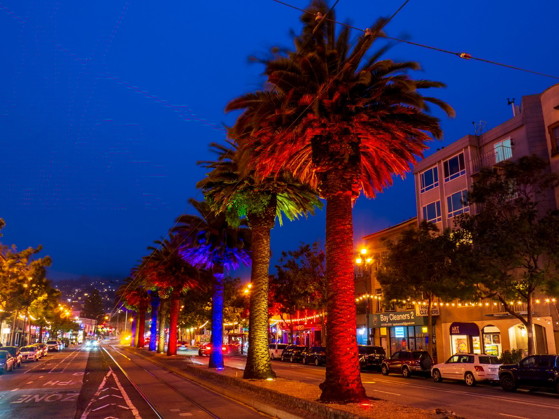 Palm trees are lit in a rainbow of colors